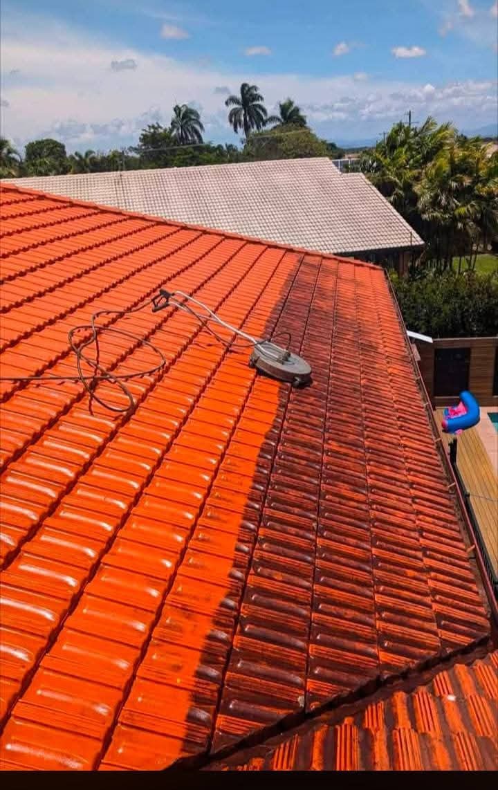 Professional roof cleaning transformation