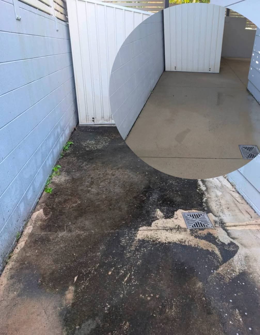 Real roof cleaning job in the Whitsundays — dramatic before and after on terracotta tiles